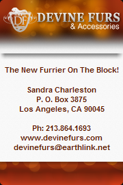 Business Card Design - Devine Furs & Accessories