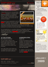 Envisager Studio - eVisioning January 2009 Newsletter
