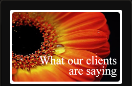 Accolades-What Our Clients Are Saying