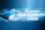 Twitter Lead Generation Cards