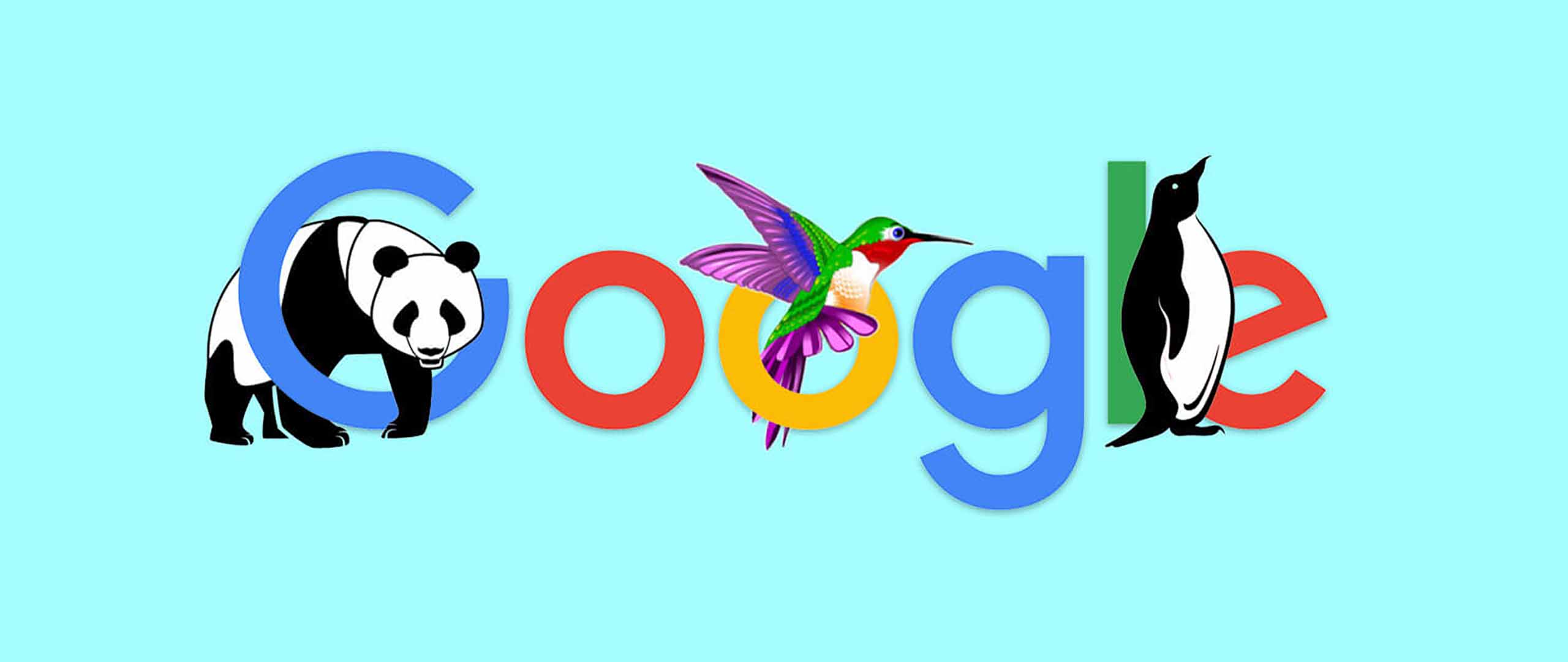 How Google Algorithms Affect Your Website