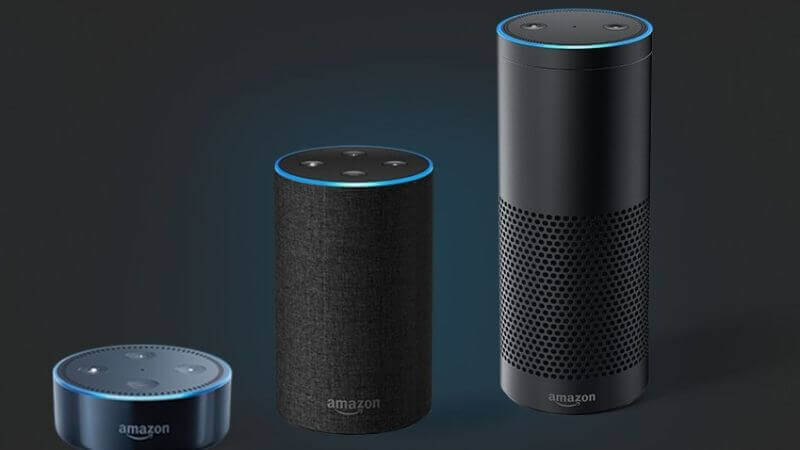 Voice Search & Smart Speakers