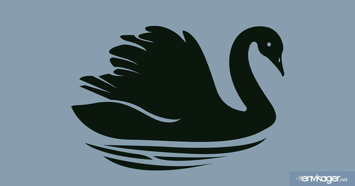 How The Black Swan Event is Affecting eCommerce in 2020