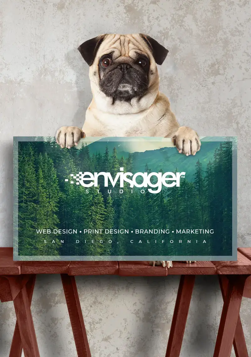 San Diego Website Design | Envisager Studio